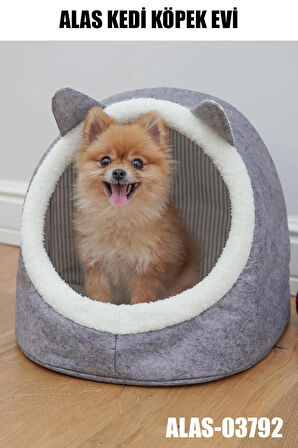 KEDİ KÖPEK EVİ