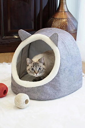 KEDİ KÖPEK EVİ
