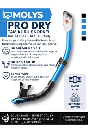 MOLYS ANGEL DALIŞ MASKESİ + ANTI FOG (BUĞU ÖNLEYİCİ FİLM) + PRO FULL DRY TAM KURU ŞNORKEL + MASKE KUTUSU SET