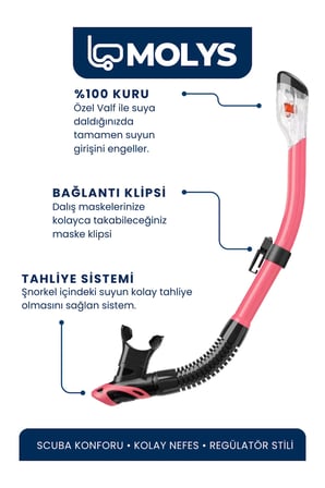 MOLYS ANGEL DALIŞ MASKESİ + ANTI FOG (BUĞU ÖNLEYİCİ FİLM) + PRO FULL DRY TAM KURU ŞNORKEL + MASKE KUTUSU SET