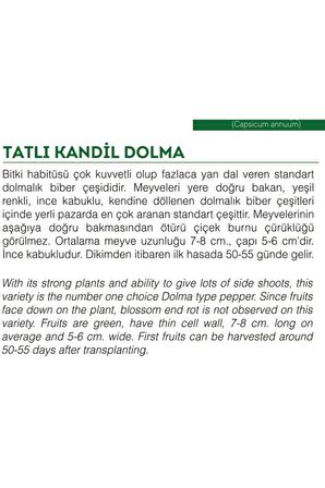 Ata Tohumu Tatlı Kandil Dolma Biberi 100 Adet Tohum