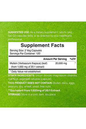 Mullein Leaf 20,000mg Herbal Equivalent, 240 Veggie Capsules