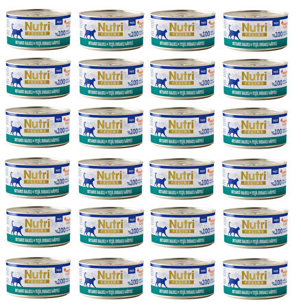 Nutri Feline Okyanus Balıklı ve Midyeli  Pate Tahılsız Yetişkin Kedi Konservesi 70 Gr. X 24 Adet