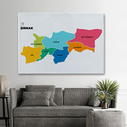 Harita Sepeti Şırnak İli ve İlçeler Haritası Dekoratif Kanvas Tablo 1460