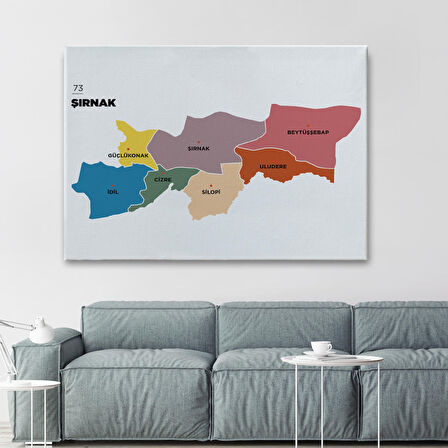Harita Sepeti Şırnak İli ve İlçeler Haritası Dekoratif Kanvas Tablo 1461