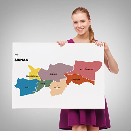 Harita Sepeti Şırnak İli ve İlçeler Haritası Dekoratif Kanvas Tablo 1461