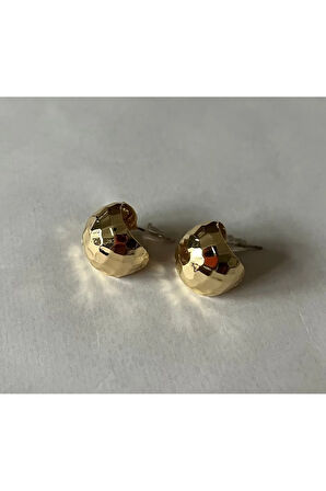 2li Kadın Gold Çelik Küpe