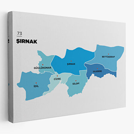 Harita Sepeti Şırnak İli ve İlçeler Haritası Dekoratif Kanvas Tablo 1462