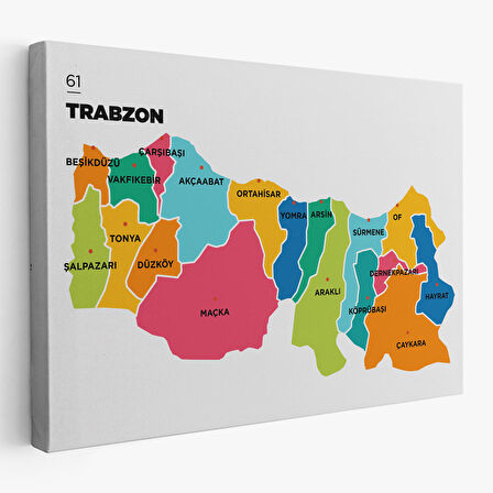 Harita Sepeti Trabzon İli ve İlçeler Haritası Dekoratif Kanvas Tablo 1469