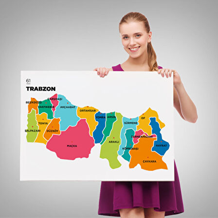 Harita Sepeti Trabzon İli ve İlçeler Haritası Dekoratif Kanvas Tablo 1469