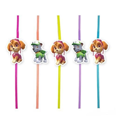 Pipet Paw Patrol Sky 10 lu artistik pipet körüklü doğum günü eğlenceli pipet