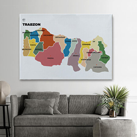 Harita Sepeti Trabzon İli ve İlçeler Haritası Dekoratif Kanvas Tablo 1470