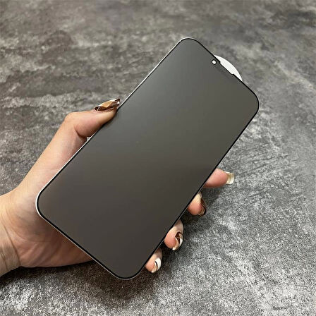 İphone 16 Pro Max Uyumlu Mat Hayalet Nano Ekran Koruyucu