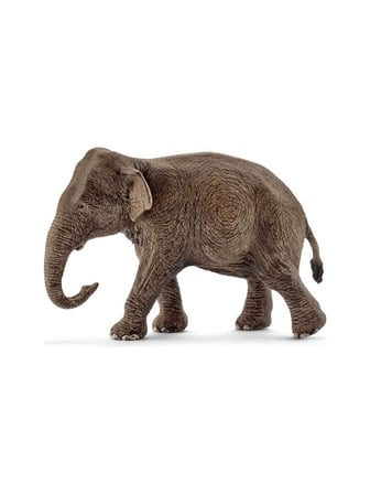 Schleich Dişi Asya Fili 17001