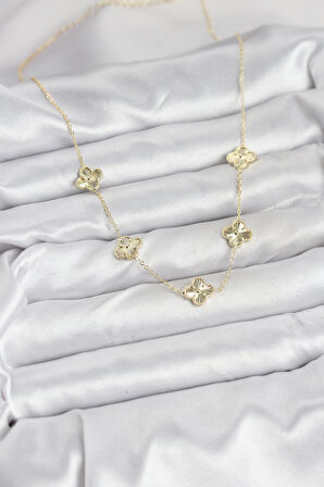 Pirinç Gold Renk Yonca Kadın Kolye