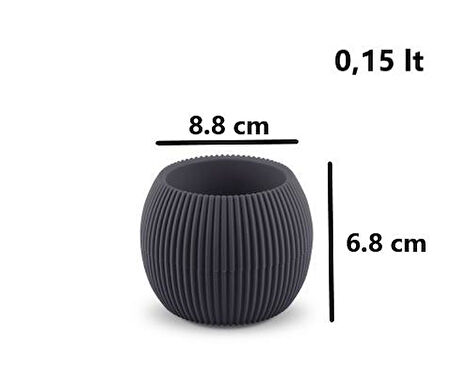 Omnipazar KRS-361 Plastik Mercan Kaktüs Saksı 0.15 Litre Antrasit 6 Adet