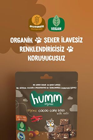 Humm Organic Organik Glutensiz Vegan Kakaolu ve Fındıklı Kek 30g