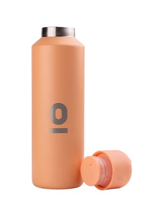  Paslanmaz Çelik Somon Rengi Su Şişesi 600 ml No:82