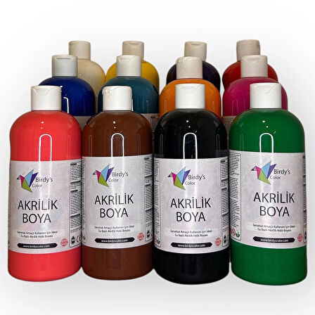 Birdy's Color Akrilik Boya 12'li Set 12X500GR - Ana Renkler