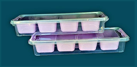 Gondol Plastik 4 Bölmeli Midi Organizer Kutu 2,5 lt Mor x 2 Adet