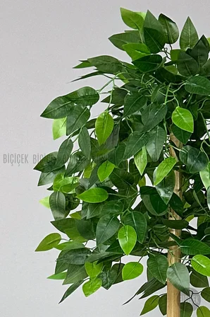 Yapay Benjamin Ağacı Bambu Gövdeli 140cm Büyük Saksıda Yoğun Yapraklı