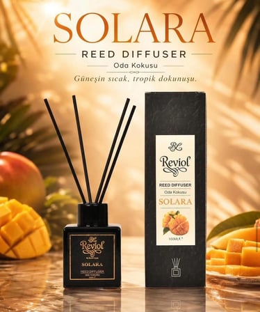 REVİOL Solara Çubuklu Oda Kokusu 100 ml