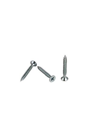 4.0x50 Sunta Vidası ( 500 Adet )