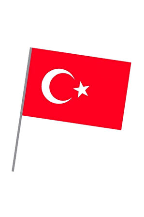 Eren Sopalı Türk Bayrak Büyük  100li Paket Xzy