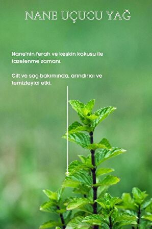 Bade Natural Nane Uçucu Yağı %100 Saf 10 ml