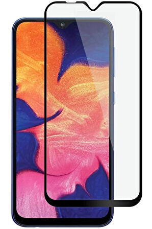 Samsung Galaxy A20 Tam Kaplayan Kırılmaz Cam Ekran Koruyucu - Siyah