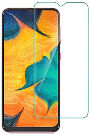 Samsung Galaxy A20 Nano Cam Kırılmaz Cam Ekran Koruyucu Ultra Koruma - Extra İnce