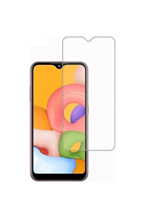 Telbor Samsung Galaxy A01 Nano Cam Ekran Koruyucu Şeffaf Extra Darbe Emici