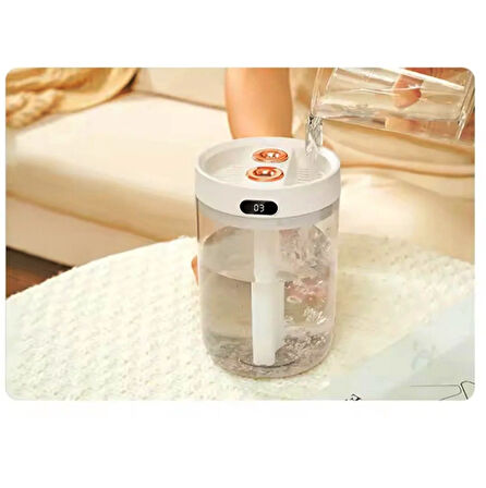 Hava Nemlendirici H2O Çift Püskürtme Portlu 5 Volt Type-C Giriş 750ML Su Hazneli NEMLENDİRİCİ
