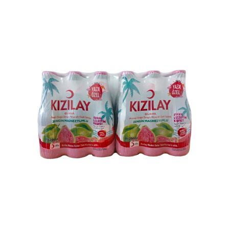 Kızılay Guava Aromalı Maden Suyu 200 ml x 24 Adet