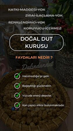 Yeni Mahsül Doğal Dut Kurusu 250gr