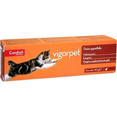 candioli vigorpet kedi pasta