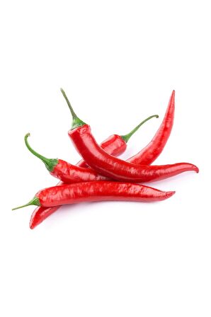 Ithal Doğal Acı Şili Biberi Acı Biber Hot Chılean Pepper 100 Ad Tohum