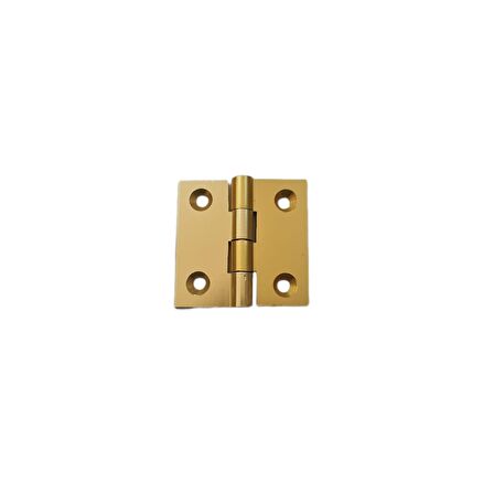 Canex Sarı Alüminyum Menteşe 4 cm / 40 mm ( 10 Adet )