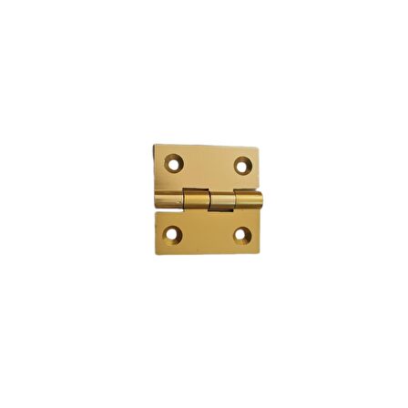 Canex Sarı Alüminyum Menteşe 4 cm / 40 mm ( 10 Adet )