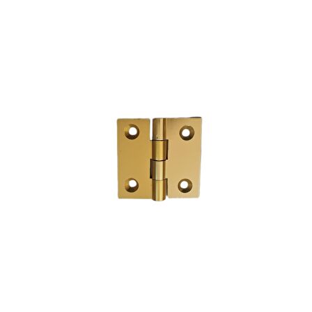 Canex Sarı Alüminyum Menteşe 4 cm / 40 mm ( 10 Adet )