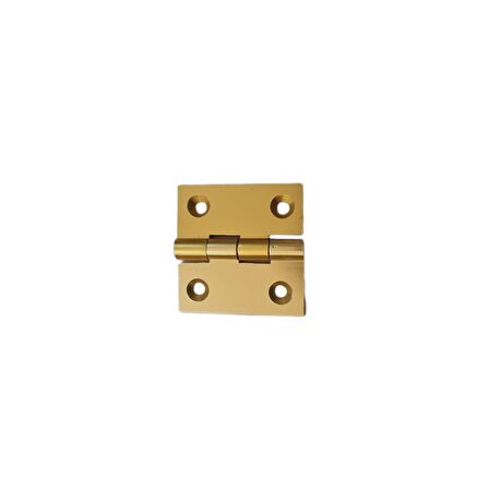 Canex Sarı Alüminyum Menteşe 4 cm / 40 mm ( 10 Adet )