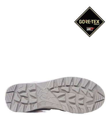 ASTOR GTX BOT COYOTE