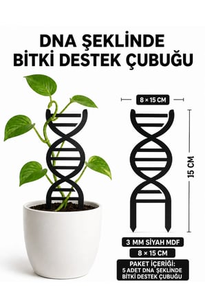 DNA Şeklinde Bitki Destek Çubuğu 5’li Set 8x15 cm Siyah 3 mm MDF Saksı Desteği