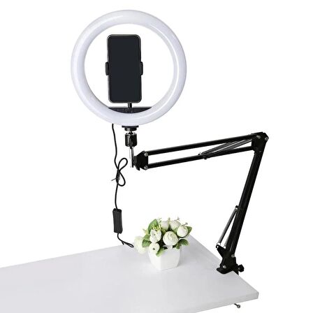 Esnek Masaüstü Sıkıştırmalı Tiktoker Ring Light LED Selfie Yayın Işığı 10 Inç + Stand Lüx