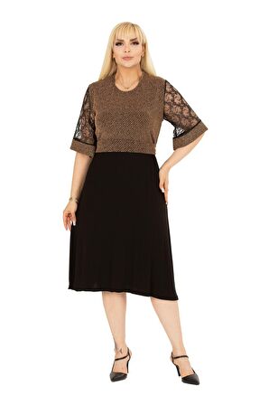 Işıltılı Büyük Beden Abiye Elbise 15E-2392