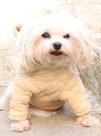Kapüşonlu Bej Köpek Sweatshirt – Kalın cift kat Kapitone Kumaş Kışlık Köpek Giysisi