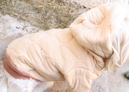Kapüşonlu Bej Köpek Sweatshirt – Kalın cift kat Kapitone Kumaş Kışlık Köpek Giysisi