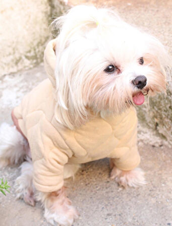 Kapüşonlu Bej Köpek Sweatshirt – Kalın cift kat Kapitone Kumaş Kışlık Köpek Giysisi