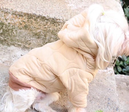 Kapüşonlu Bej Köpek Sweatshirt – Kalın cift kat Kapitone Kumaş Kışlık Köpek Giysisi