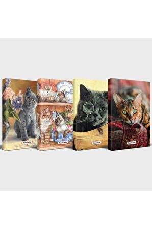 Kedili Defter Seti - 4 Defter V3